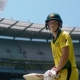 Akkomplice - Cricket Australia